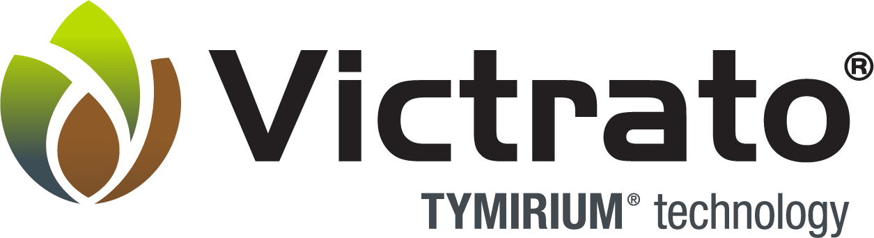 Creatures playing cards