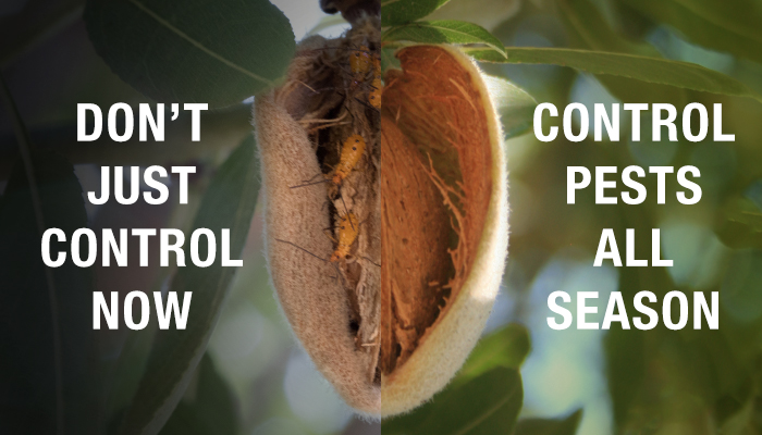 Don’t just control NOW, control all pests all season